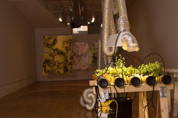 Exhibition Image